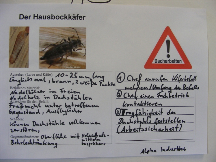 Da 12c 1.Block Schuljahr 12/13