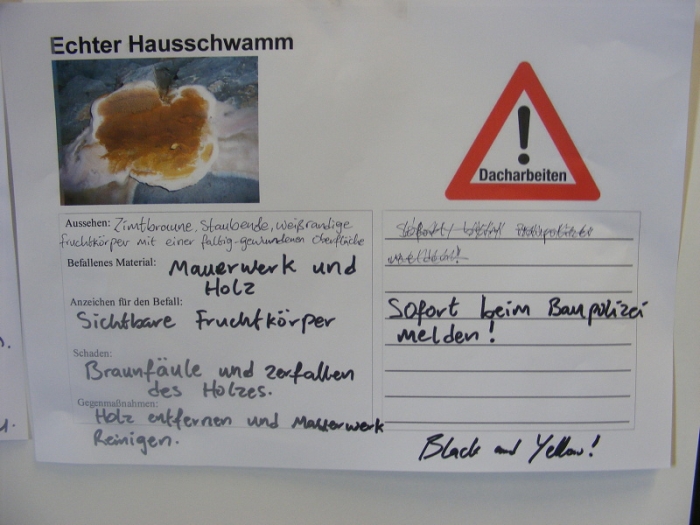 Da 12c 1.Block Schuljahr 12/13