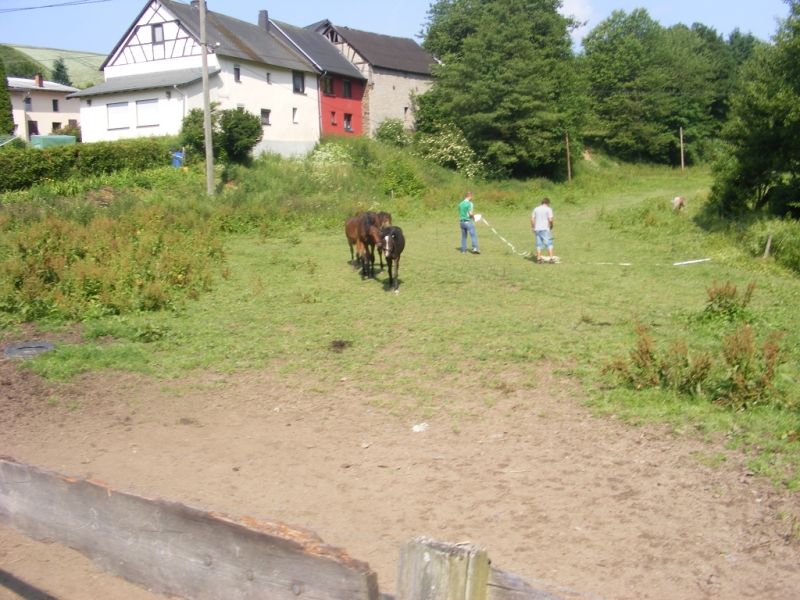 Feldübung in Mimbach 2013