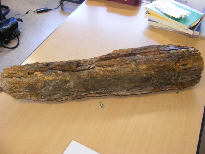 Bilder aus dem vertiefenden Praktikum 2012-2