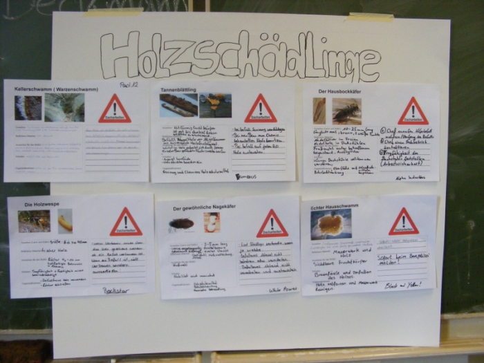 Bilder aus dem vertiefenden Praktikum 2012-2